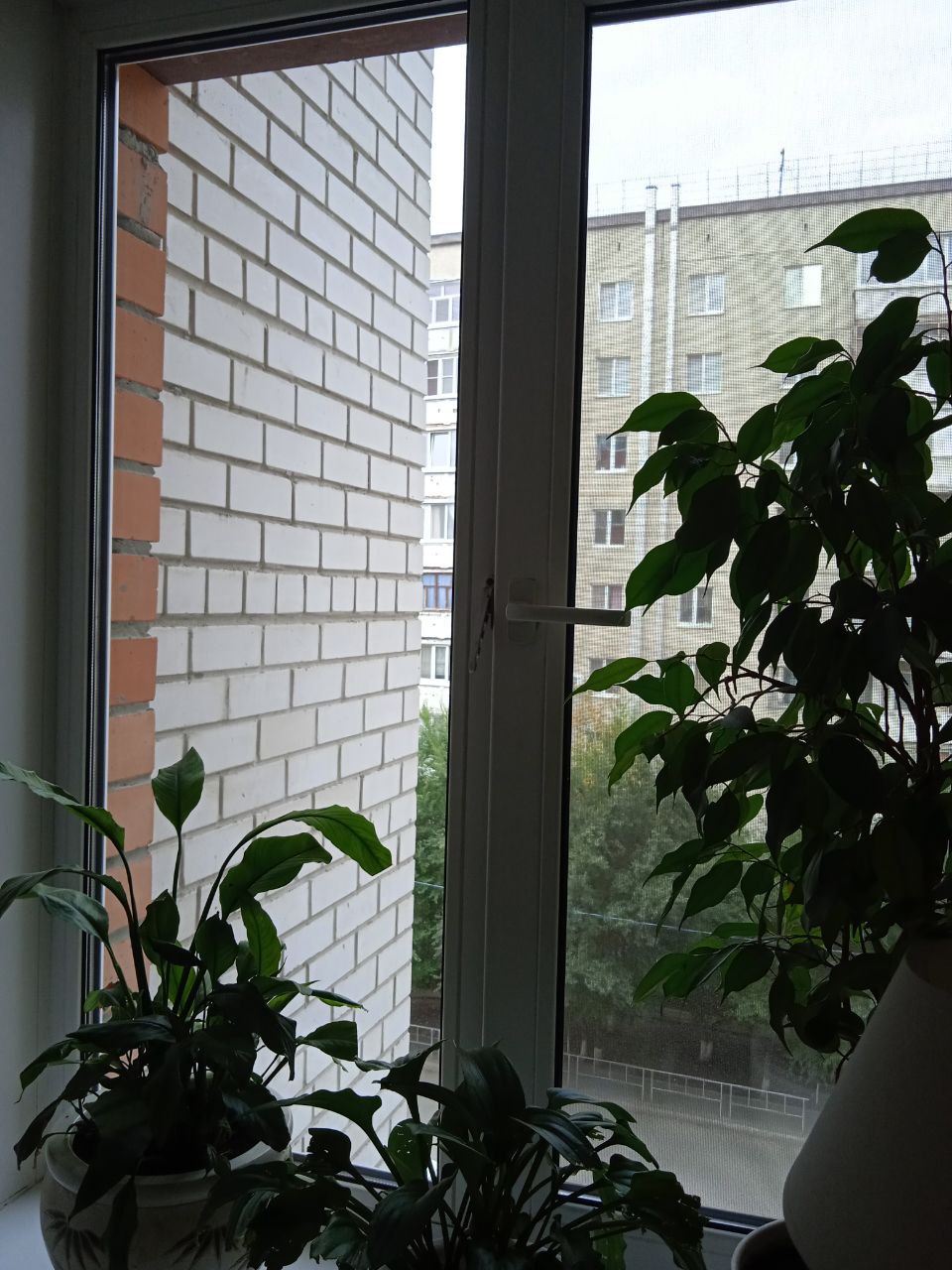 https://ulyanovsk.delaem-okna.ru/storage/app/uploads/public/63f/332/8c0/63f3328c0408d690824237.jpg