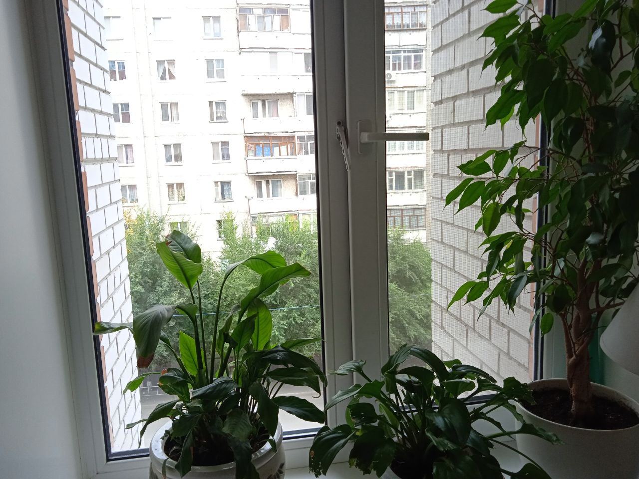 https://ulyanovsk.delaem-okna.ru/storage/app/uploads/public/63f/332/8c0/63f3328c0d6f7867060515.jpg